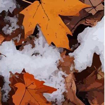 Cuidado y limpieza de áreas exteriores